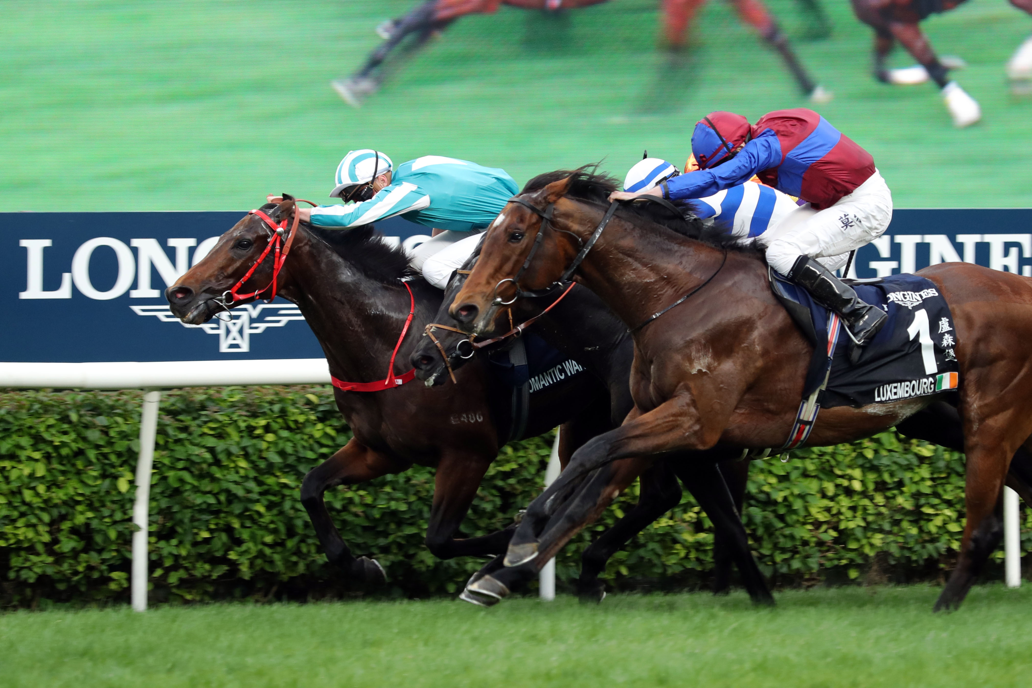 Hong Kong Cup
